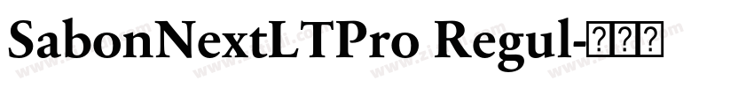 SabonNextLTPro Regul字体转换 SabonNextLTPro Regul字体转换